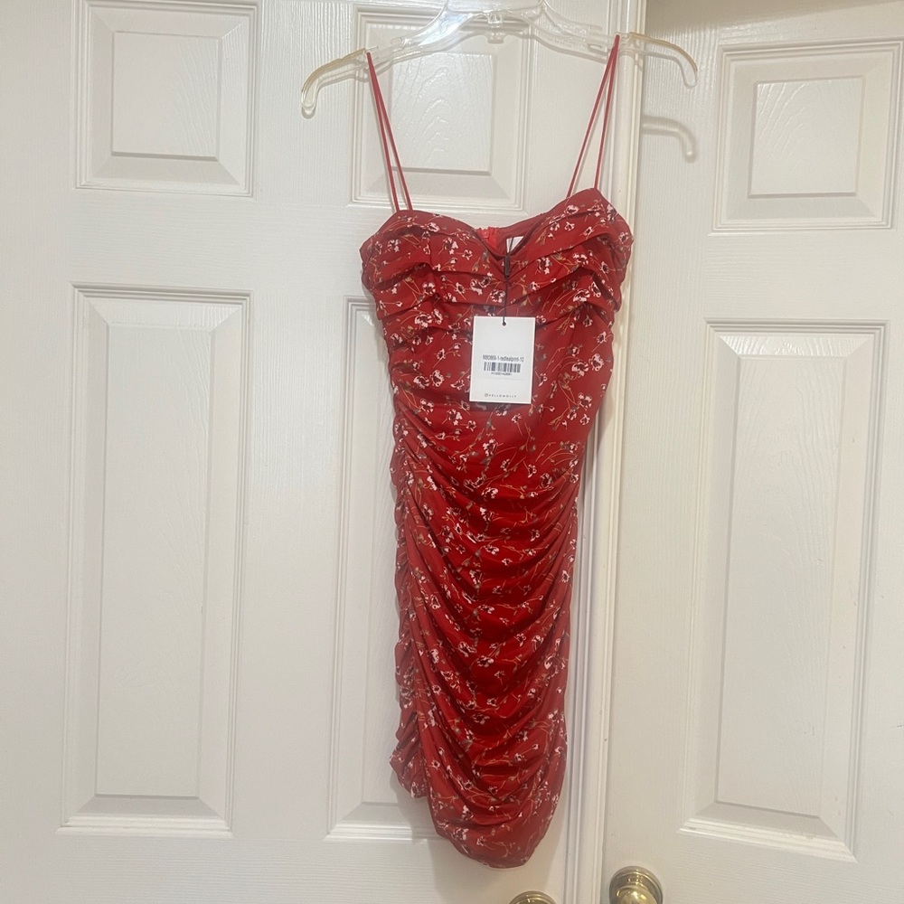 New‎ Hello Molly Got You Good Mini Dress Womens Size 6